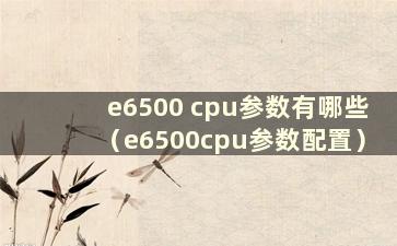 e6500 cpu参数有哪些（e6500cpu参数配置）